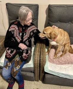 Nějaká nová galerie